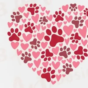 Dog Valentine SVG Paw Print Heart PNG